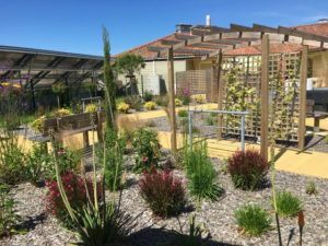 cias-actus-un-jardin-de-vie